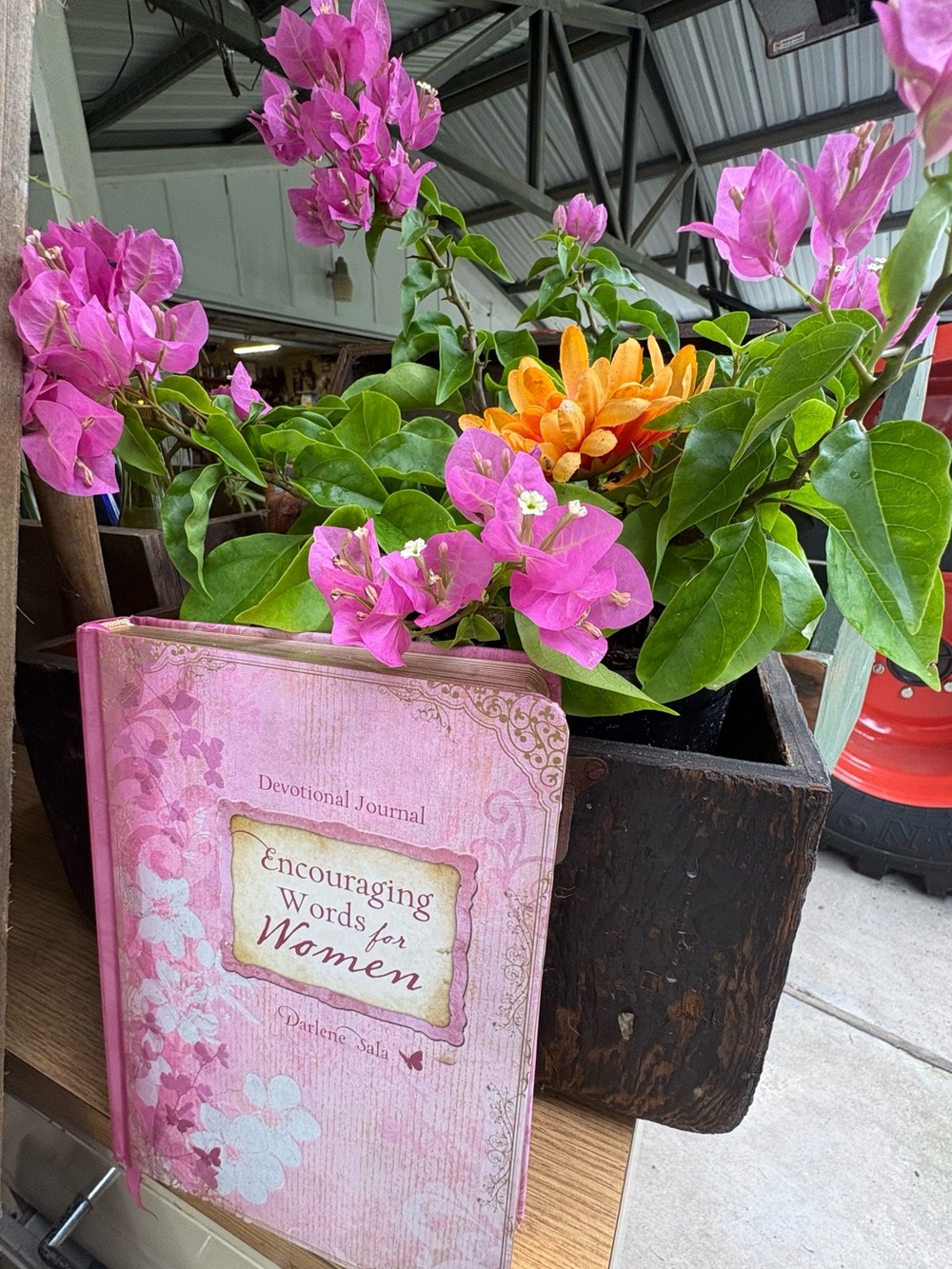Encouraging Words for Women Devotional Journal - Pink